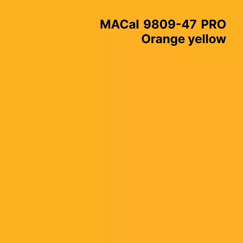 MC9800 BF Couleur Polymère...