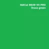 MC9800 couleurs Polymère grass green Brillant permanent 7 ans