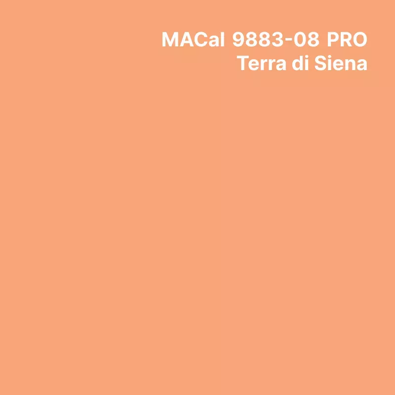 MC9800 couleurs Polymère Terra Di Siena Brillant permanent 7 ans